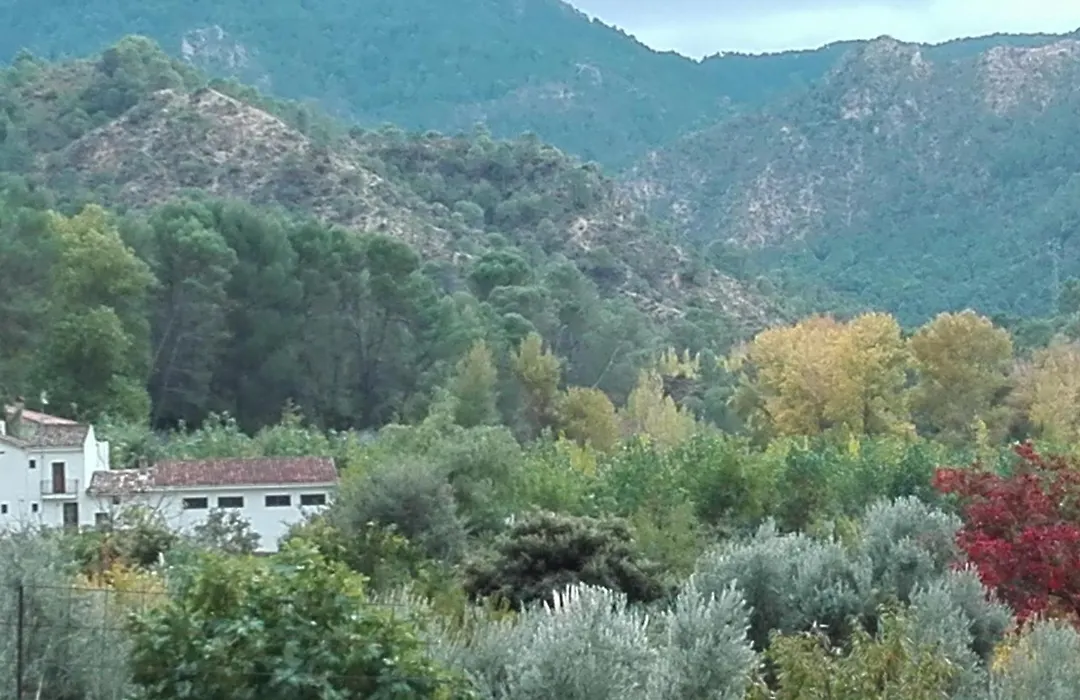 Casa Rural Rio los Molinos-1